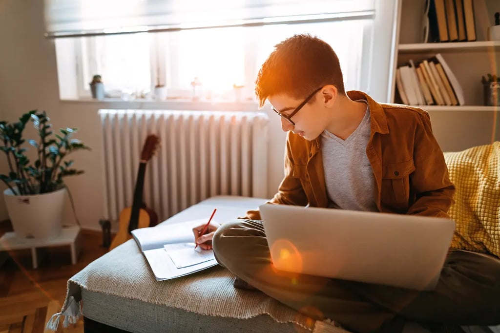 Interactive online curriculum student studying with a laptop and notebook in a cozy home setting with sunlight streaming in