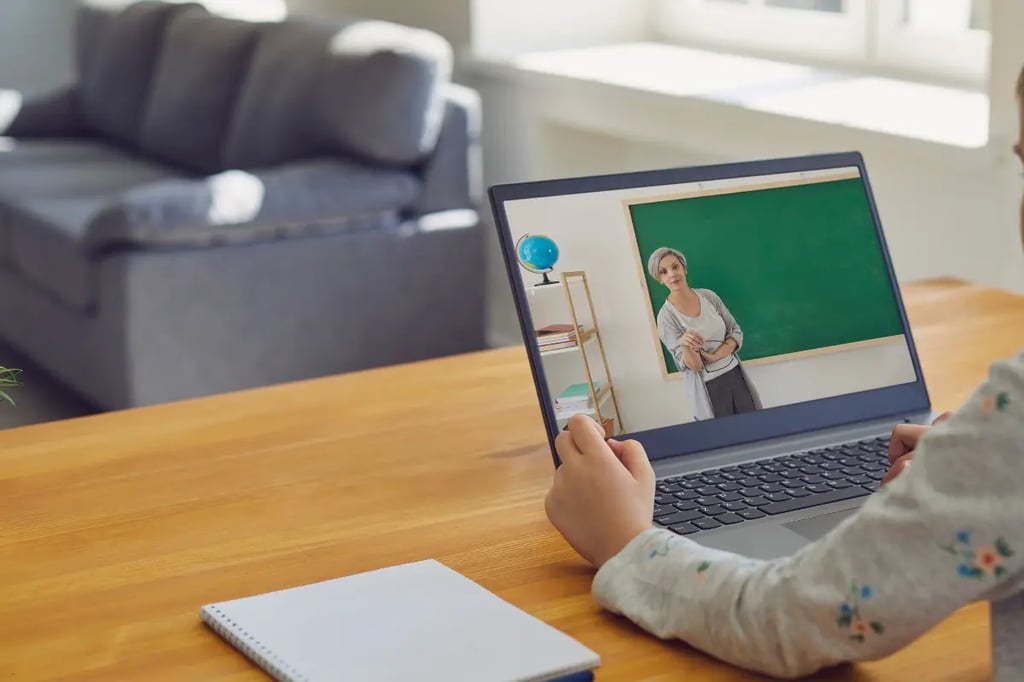 High school homeschool student watching an online lesson with a teacher on a laptop at home