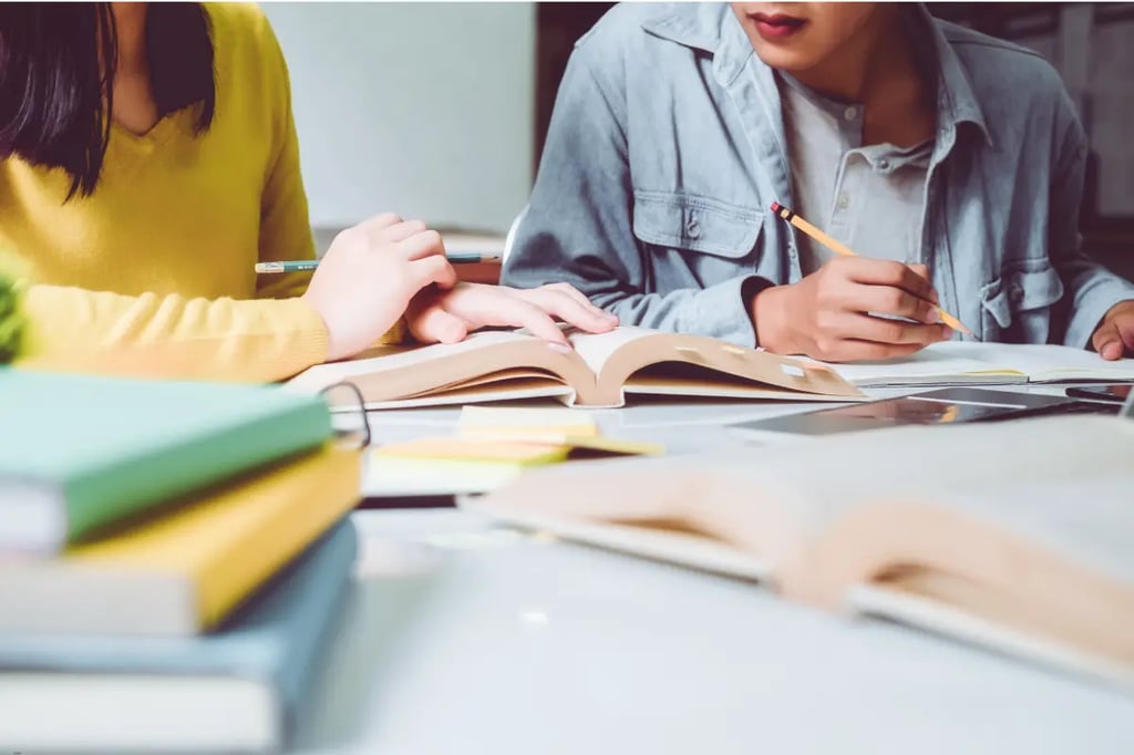Two students collaborate while studying books, discussing material from an accredited virtual learning program