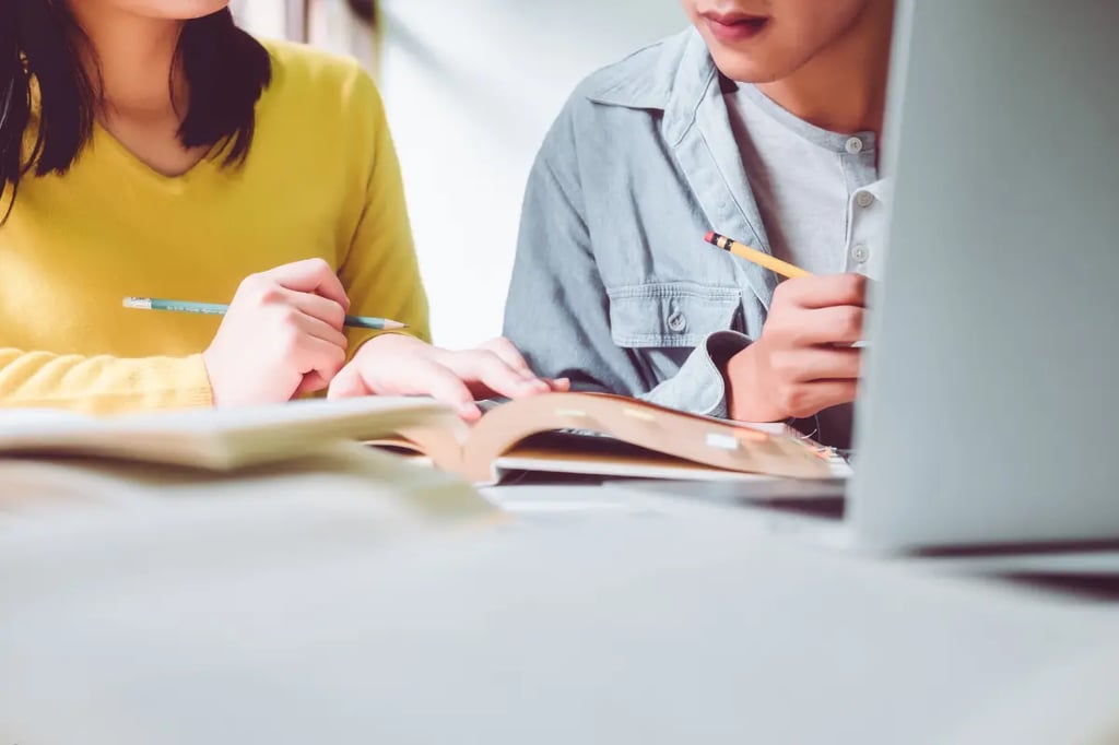 Self-paced online classes shown with two students studying together using books and a laptop.
